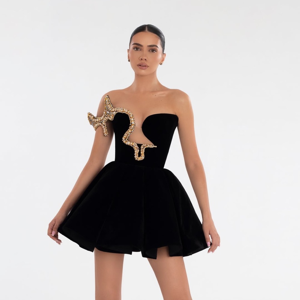 Albina Dyla Black Mini Dress